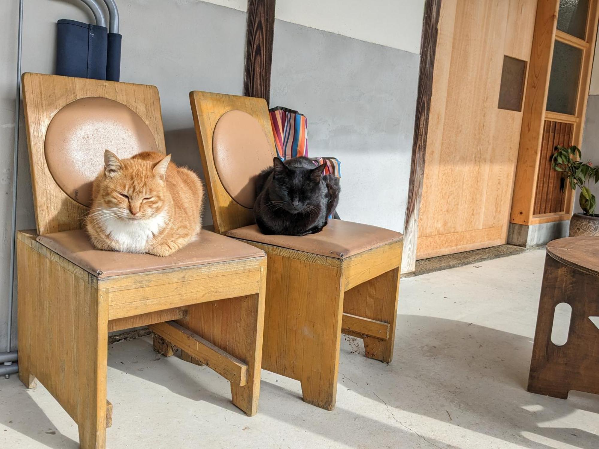 猫と図書館のある宿 草地家 Kusachike Minamiawaji المظهر الخارجي الصورة