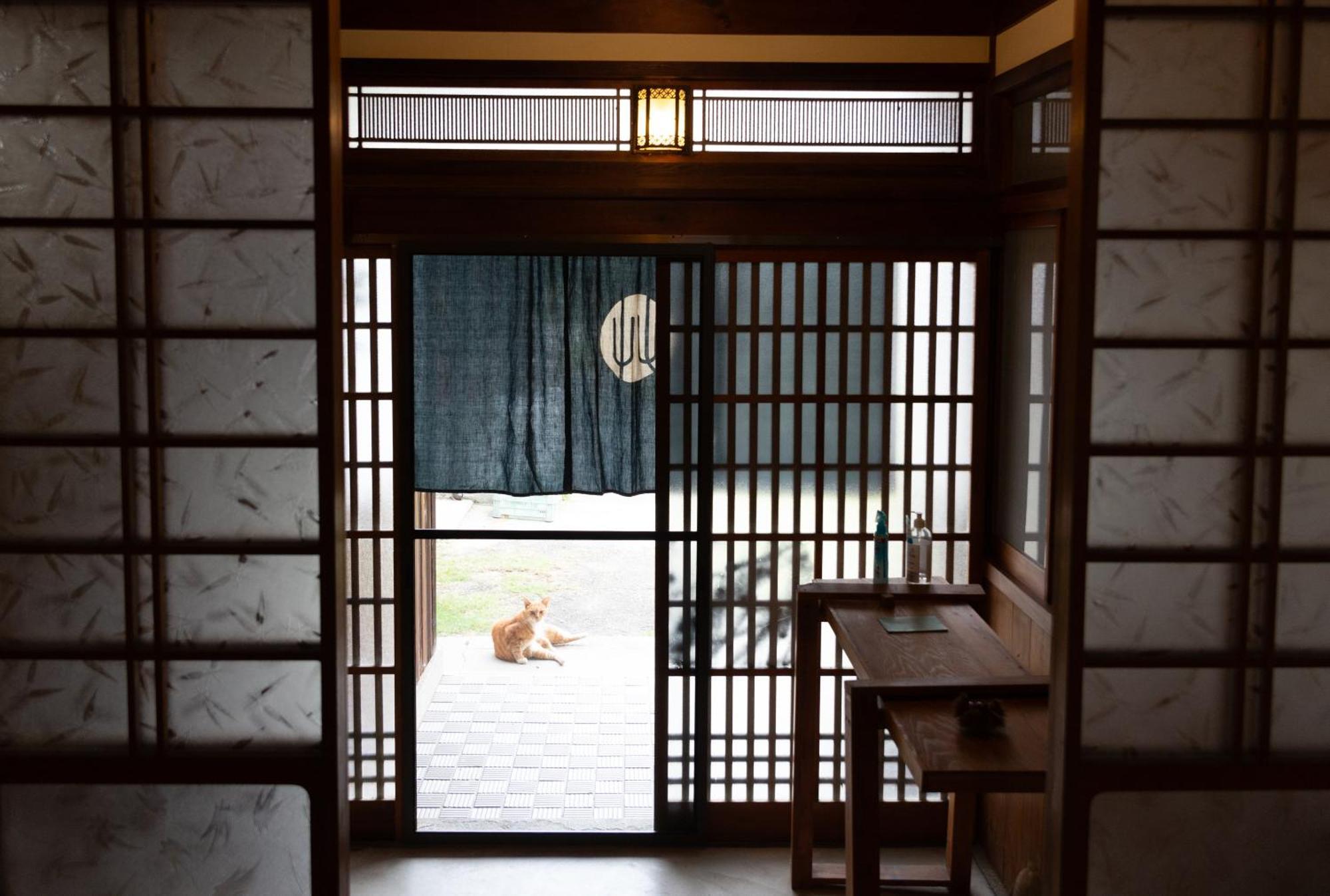 猫と図書館のある宿 草地家 Kusachike Minamiawaji المظهر الخارجي الصورة